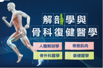 解剖學與骨科復健醫學~骨骼肌肉的奧義(圖)