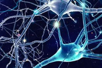 2026寒假 大腦科普知識競賽選手訓練營：開啟你探索大腦科學的新眼界！(圖)